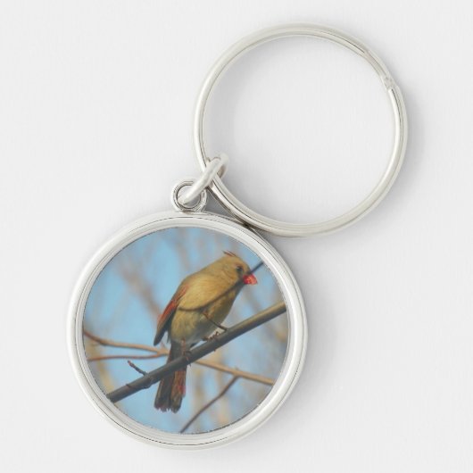 Porte-clés Cardinal/Oiseau féminin (Devant)