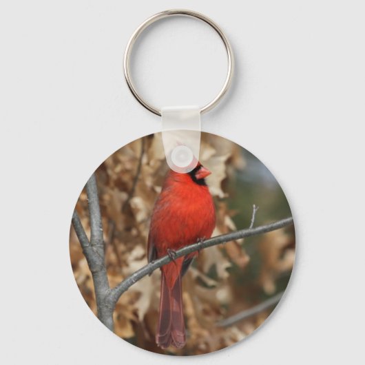 Porte-clés Cardinal rouge (Recto)