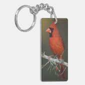 Porte-clés Cardinal rouge, Cardinalis cardinalis, mâle (Devant gauche)