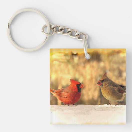 Porte-clés Cardinaux en automne (Devant)