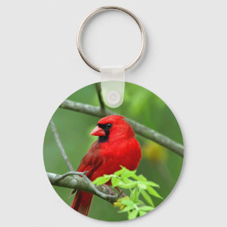 Porte-clés Cardinaux rouges sur l'arbre