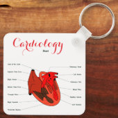 Porte-clés "Cardiology Key Ring" (Verso)