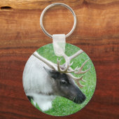 Porte-clés Caribou (Recto)