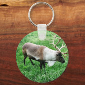 Porte-clés Caribou (Recto)