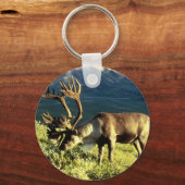 Porte-clés Caribou de l'Alaska (Recto)
