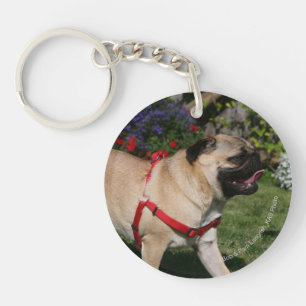 Porte-clés Carlin utilisant le harnais rouge