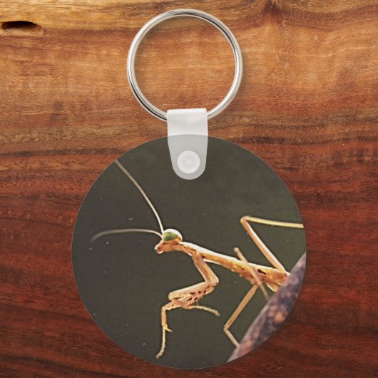 Porte-clés Caroline Mantis (Recto)
