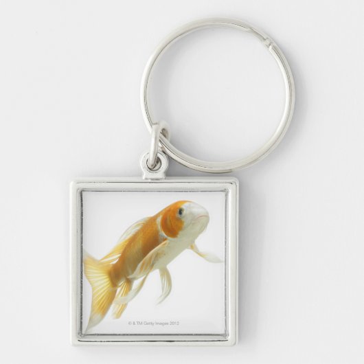 Porte-clés Carpe (Cyprinus carpio) (Devant)