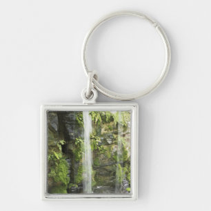 Porte-clés Cascade, forêt tropicale tempérée, Nouvelle
