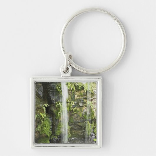 Porte-clés Cascade, forêt tropicale tempérée, Nouvelle (Devant)