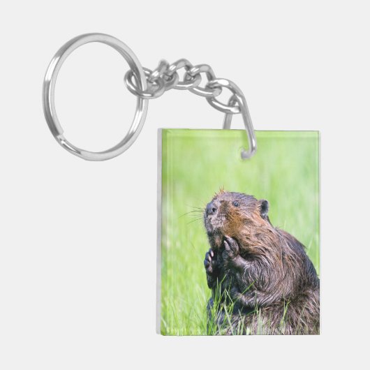 Porte-clés Castor humide (Devant gauche)