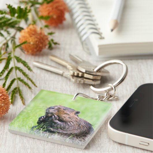 Porte-clés Castor humide (Devant Droit)