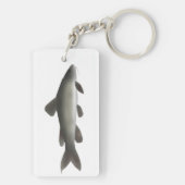 Porte-clés Catfish Golden Nile (Dos)