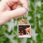 Porte-clés Cavalier King Charles Buddies endormis (main)