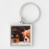 Porte-clés Cavalier King Charles Buddies endormis (Devant)