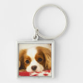 Porte-clés Cavalier King Charles Spaniel flocon (Devant)