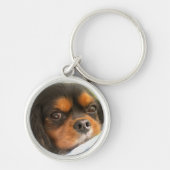 Porte-clés Cavalier King Charles Spaniel noir et f (Devant)