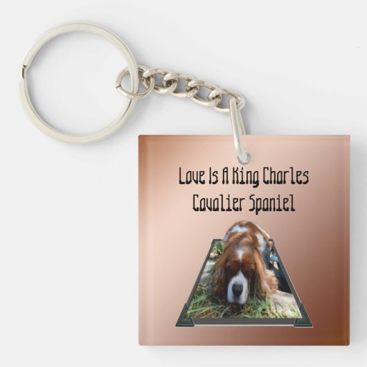 Porte-clés Cavalier Spaniel Popout Art, Clavier (Devant)