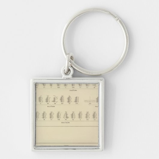 Porte-clés Cécité, statistique US Lithographe (Devant)
