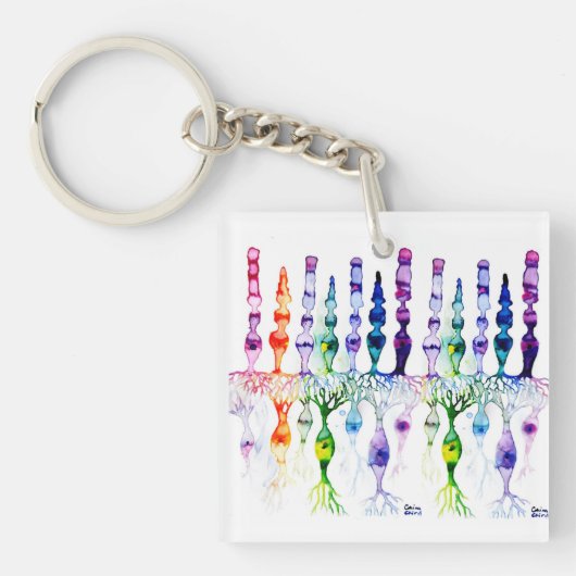 Porte-clés Cellules cônes cellules tiges et neurone bipolaire (Devant)