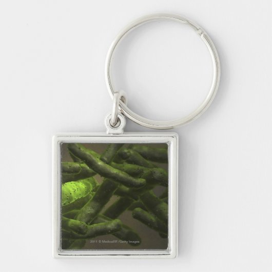Porte-clés Cellules de bacille de la tuberculose (Devant)