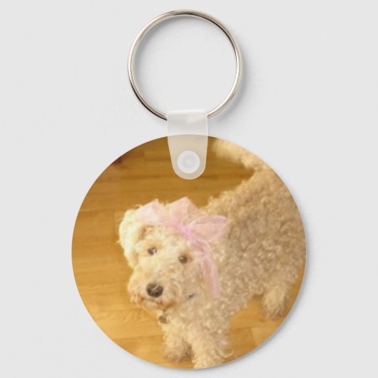Porte-clés Cercle clé joli laeland terrier (Recto)