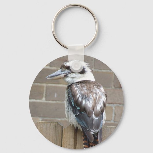 Porte-clés Cercle de clé Kookaburra (Recto)