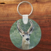 Porte-clés Cerf (Recto)