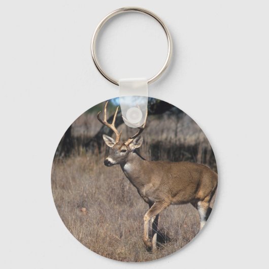 Porte-clés Cerf (Recto)
