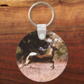 Porte-clés Cerf à queue blanche en marche (Recto)