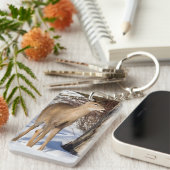 Porte-clés Cerf à queue blanche (gros plan) (Devant droit)
