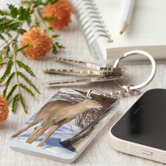 Porte-clés Cerf à queue blanche (gros plan) (Devant droit)