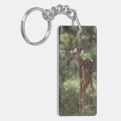 Porte-clés Cerf à queue blanche, Odocoileus virginianus (Devant gauche)