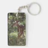 Porte-clés Cerf à queue blanche, Odocoileus virginianus (Dos)
