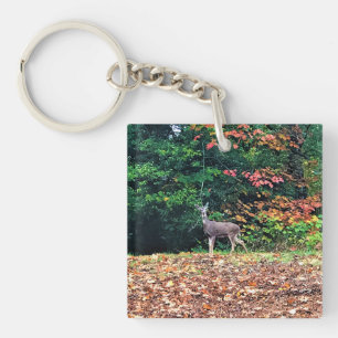 Porte-clés Cerf dans la forêt, Oregon