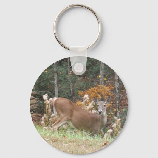 Porte-clés Cerf d'automne dans le lac Arrowhead (Recto)