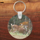 Porte-clés Cerf d'automne dans le lac Arrowhead (Recto)