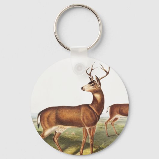 Porte-clés Cerf de Virginie (Cervus Richardsonii) (Recto)