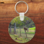 Porte-clés Cerf Et Écureuil (Recto)