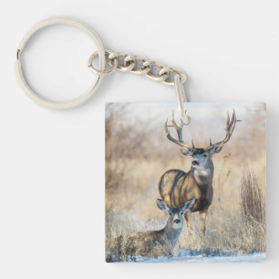 Porte-clés Cerf mulet mâle et femelle