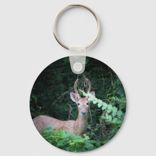 Porte-clés Cerfs communs