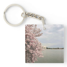 Cerisiers en fleurs au Tidal Basin