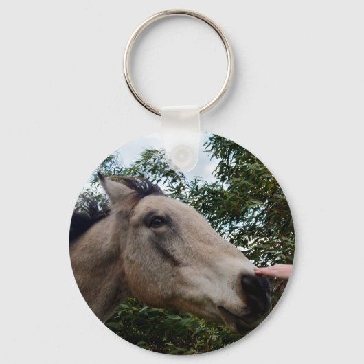Porte-clés Cessant un cheval gris-brun, (Recto)