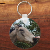 Porte-clés Cessant un cheval gris-brun, (Recto)