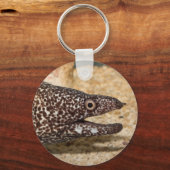 Porte-clés C'est un Moray ! (Recto)