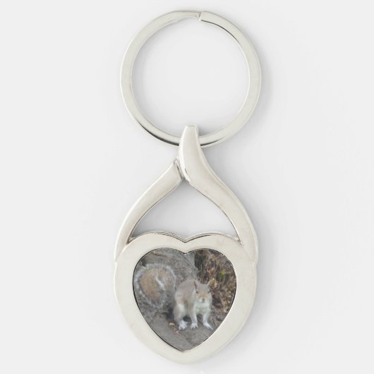 Porte-clés Chaîne Clé Coeur d'écureuil (Devant)