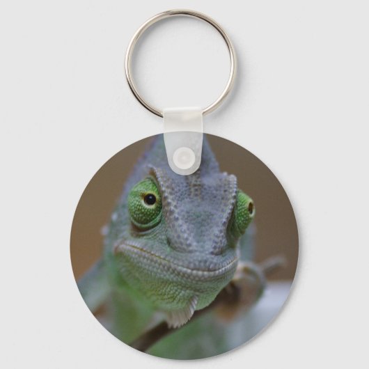 Porte-clés Chameleon voilé (Recto)