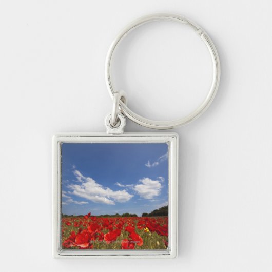 Porte-clés Champ complètement des fleurs rouges (Devant)