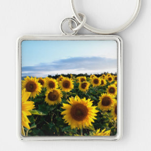 Porte-clés Champ de tournesols