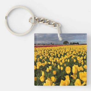 Porte-clés Champ de tulipe jaune et rouge, Oregon